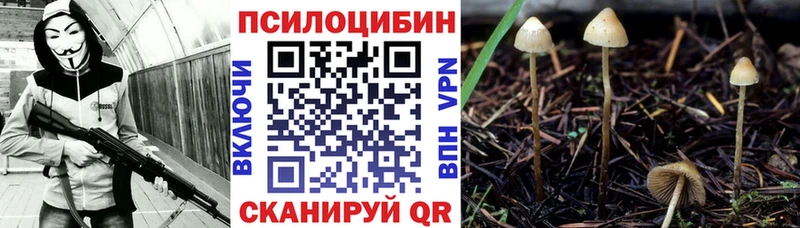 купить наркотик  кракен сайт  Галлюциногенные грибы Psilocybine cubensis  Верея 